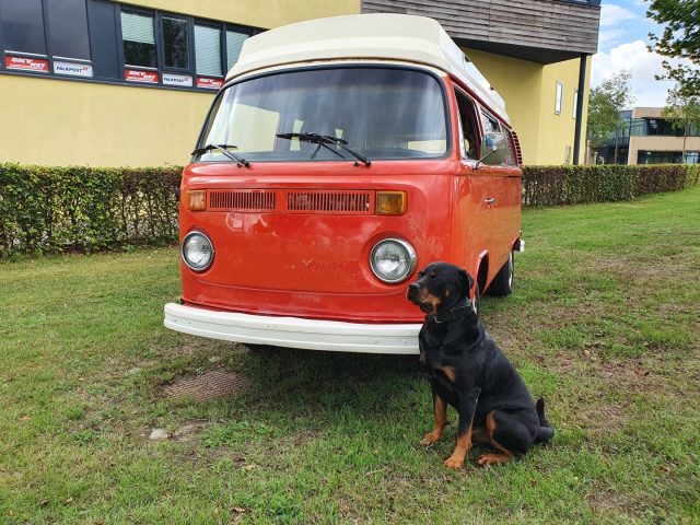 Heideveld Classics - Volkswagen T2B Westfaila 1972