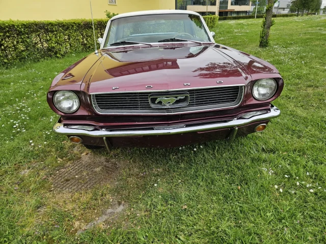 Heideveld Classics - Ford Mustang Coupe 1966